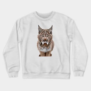 Cute Canada Lynx Drawing Crewneck Sweatshirt